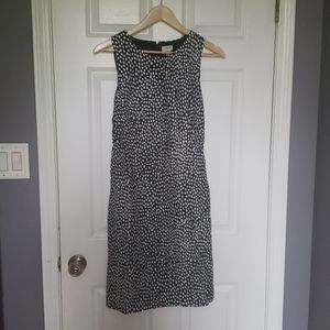 NWT J Crew Factory dress